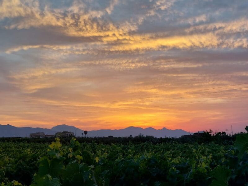 Wine and food at sunset - Who Will Love This Experience?