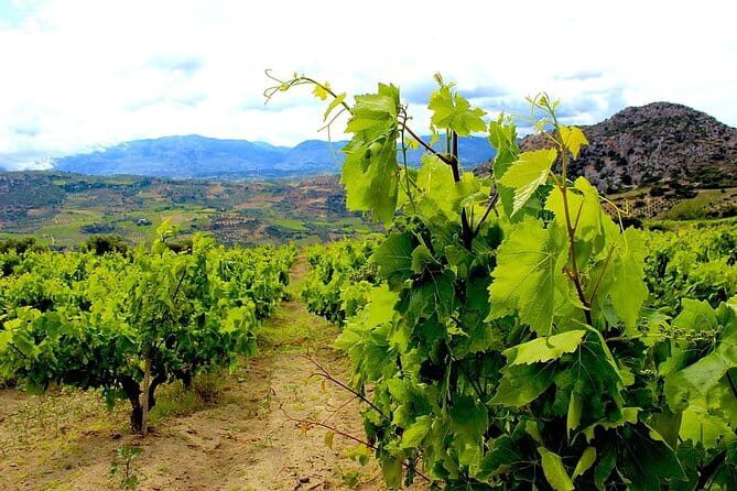 Wine and Food of Crete, Heraklion - Practical Considerations