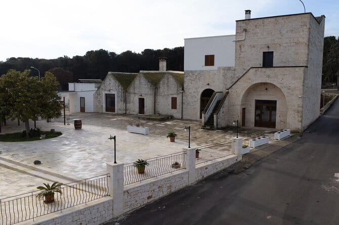 Wine and Food Pairing Experience at Alberobello Winery - Key points / Takeaways