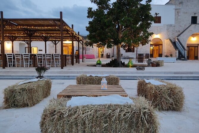 Wine and Food Pairing Experience at Alberobello Winery - The Itinerary: What You’ll Actually Do