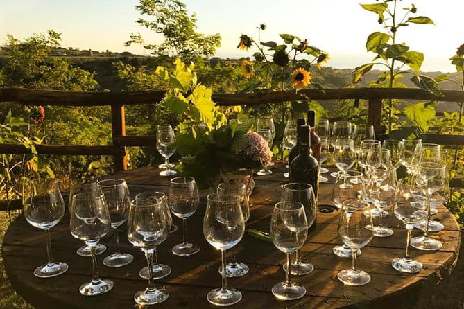 Wine and food tasting - A Taste of Calabria: Wine and Food Tasting Near Tropea