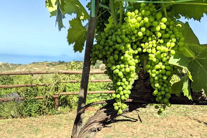 Wine and food tasting - Who Will Love This Experience?