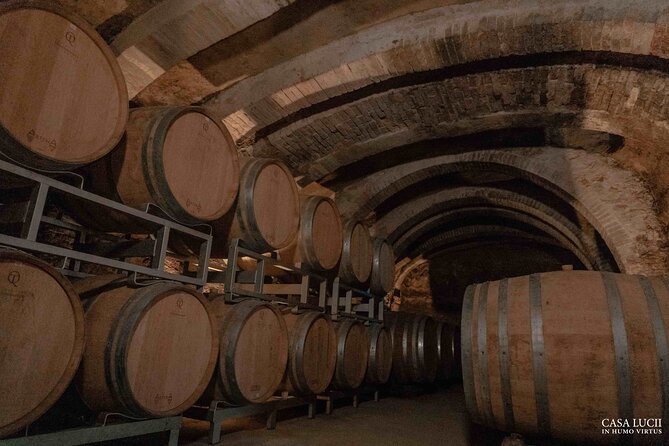 Wine and Food Tasting in an Organic Family Winery - Accessibility and Policies