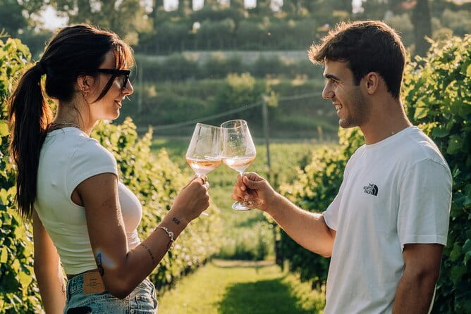 Wine and Food Tasting in the Vineyards in Lazise - Who it’s best for: