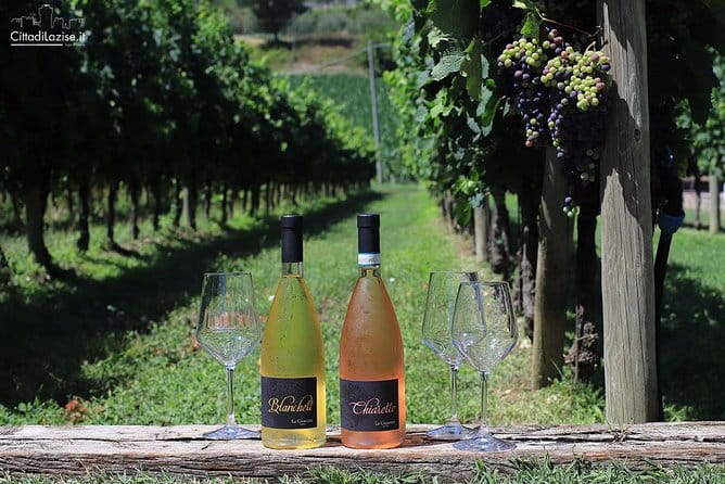 Wine and Food Tasting in the Vineyards in Lazise - FAQs