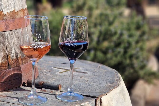 Wine and Tapas Tasting Tour from Alicante, Private Van - Key points / Takeaways