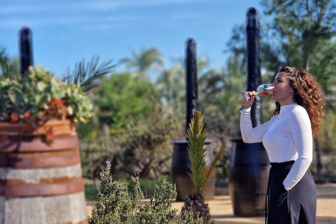 Wine and Tapas Tasting Tour from Alicante, Private Van - Discovering Alicante’s Hidden Wine Treasures