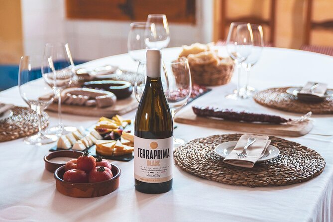 Wine & Cava Tour With Tasting From Barcelona - Discovering the Cava-Making Process