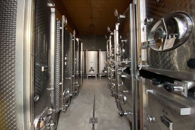 Wine cellar visit & tasting of organic Alsace wines - The Tasting: Flexibility and Focus on Quality