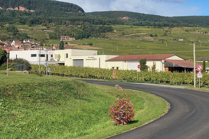 Wine cellar visit & tasting of organic Alsace wines - Practical Info: Price, Booking, and Group Size