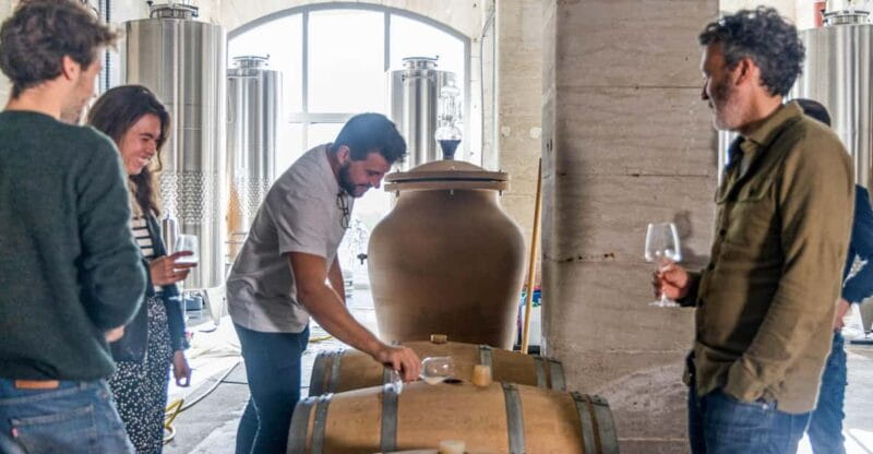 Wine creation workshop - Bordeaux - Darwin - Price and value analysis