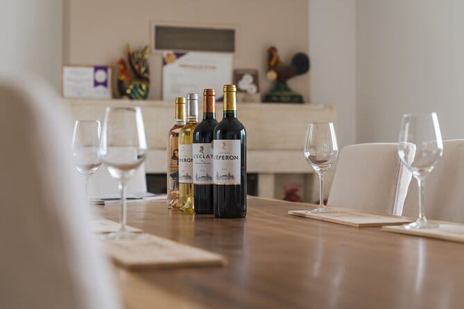 Wine Degustation, Visit and Masterclass from Vérac - Key points / Takeaways