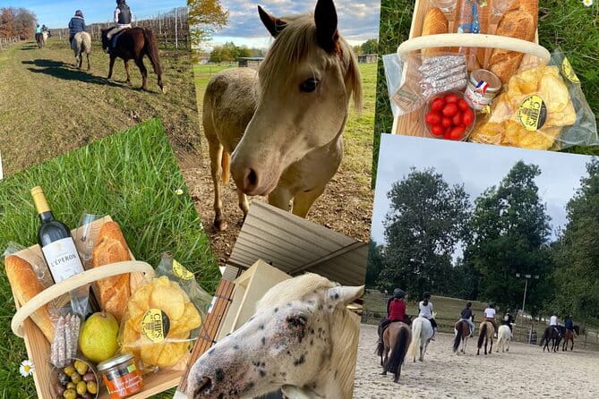 Wine Degustation, Visit and Masterclass from Vérac - FAQ