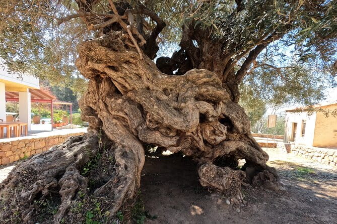 Wine, Dine & Divine: A Cretan Odyssey in Chania. - Exploring the Itinerary in Detail