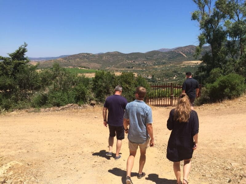 Wine Experience around Cagliari - Price and Value Analysis