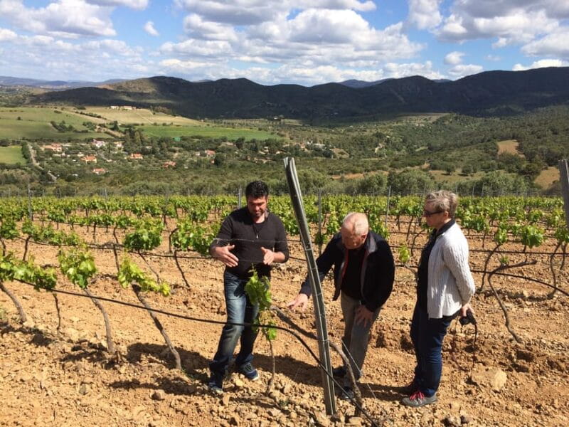 Wine Experience around Cagliari - Frequently Asked Questions