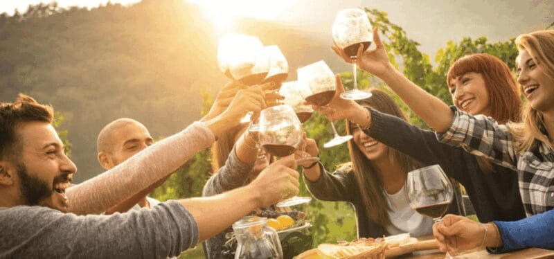 Wine Experience Colli Bolognesi - Afternoon tour - Key points / Takeaways