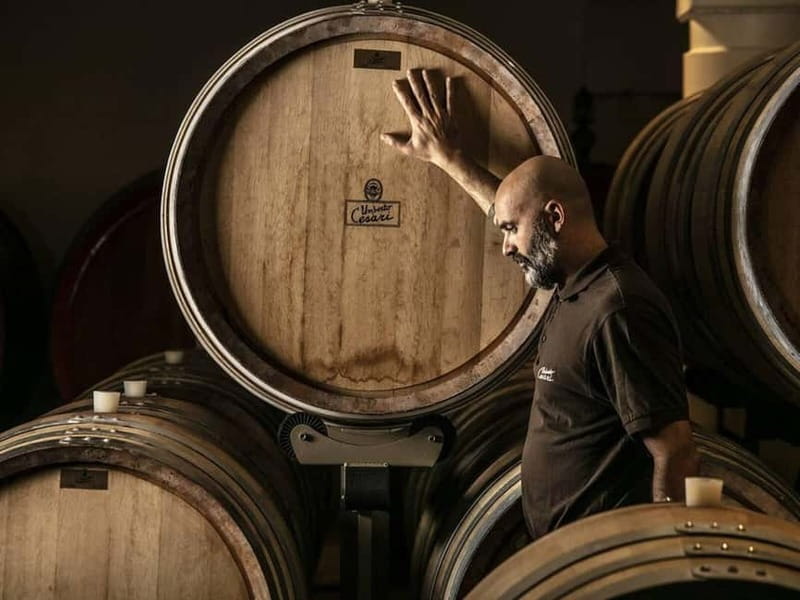 WINE EXPERIENCE & DOZZA - Private Day Tour from Bologna - FAQ