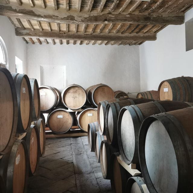 Wine Experience in an Organic Chianti Winery - Key points / Takeaways
