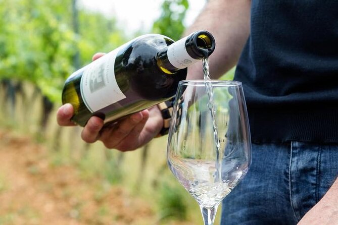 Wine Experience in Farm Vineyard & Winery From Montecatini T. - Pickup and Tour Duration