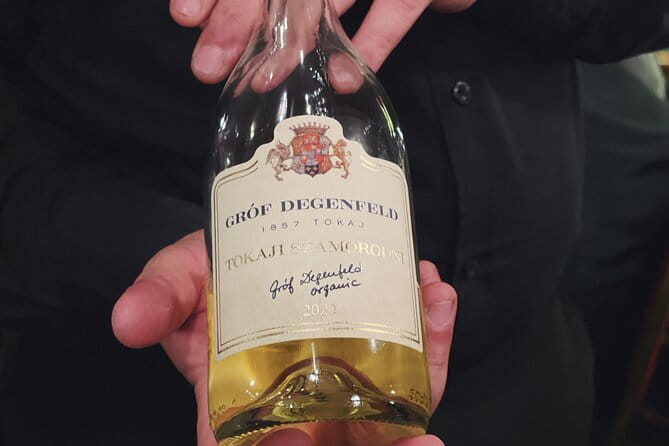 Wine & Food Tasting Cruise on the Danube - What to Expect and Practical Tips