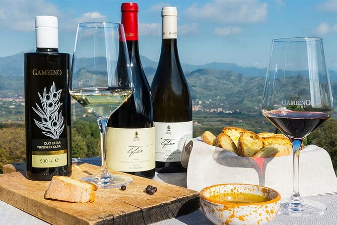 Wine & Food Tasting on Etna's Winery Private Tour - Logistics and Practical Tips