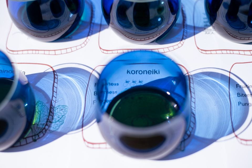 Wine & Olive Oil Tasting in an Organic Farm Laconia, Greece - Experience Highlights