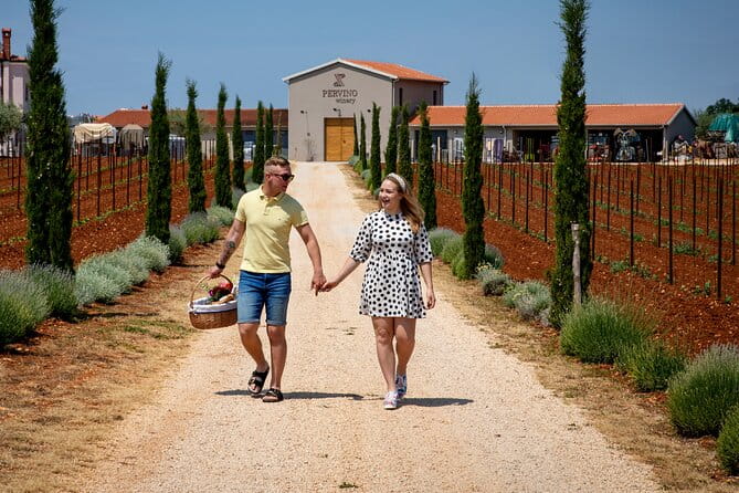Wine picnic - A Taste of Istria’s Charm: The Wine Picnic Experience