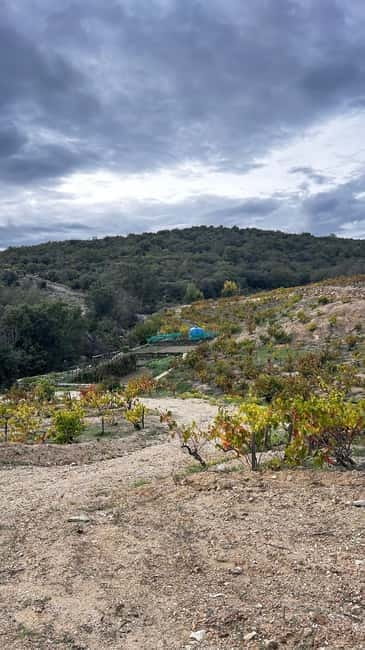 Wine safari - Exploring Bélesta from the Seat of a 4x4