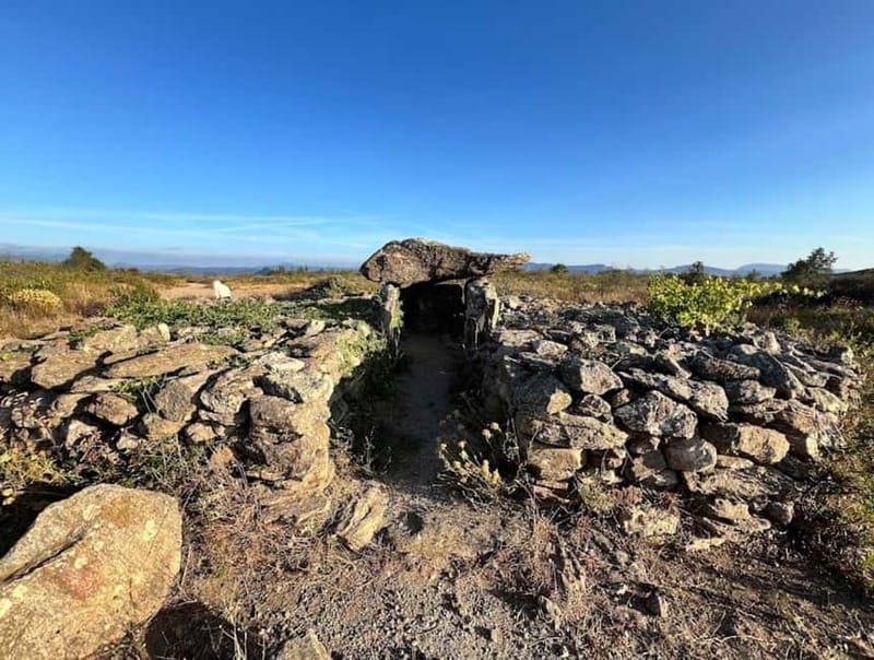 Wine safari - The Tasting: A Genuine Reflection of Bélesta’s Wines