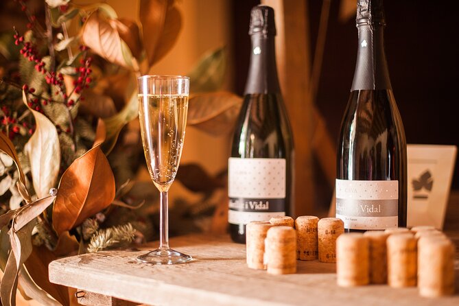 Wine, Tapas & Cava Private Tour From Barcelona - Savoring Traditional Catalan Tapas