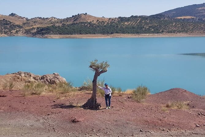 Wine, Tapas & Lake Zahara by e-bike incl Ronda pickup (full day) - Price and Logistics: A Well-Organized Day