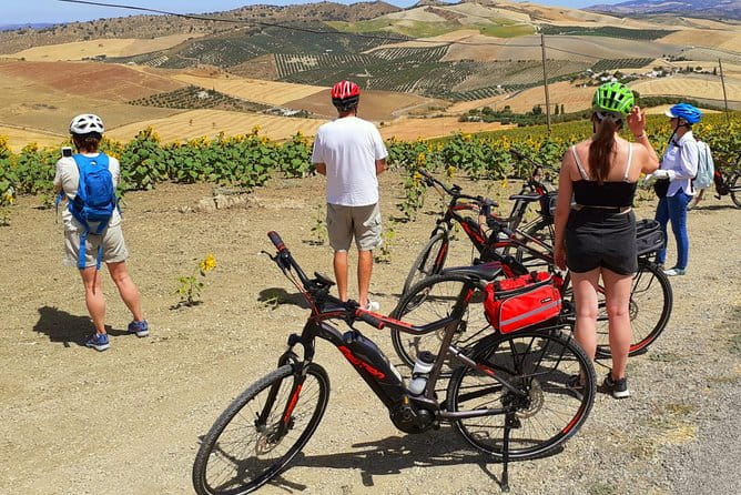 Wine, Tapas & Lake Zahara by e-bike incl Ronda pickup (full day) - Final Thoughts: Who Will Find This Tour Most Valuable?