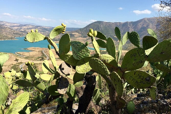 Wine, Tapas & Lake Zahara by e-bike incl Ronda pickup (full day) - FAQ