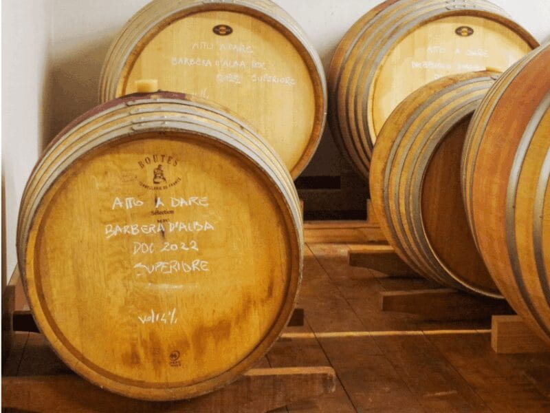 Wine Tasting and Food Pairings in Langhe and near Alba - Key Points / Takeaways