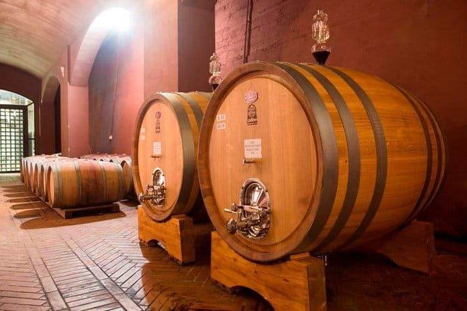 Wine tasting and guided tour of the cellar - Practical Tips for Your Visit