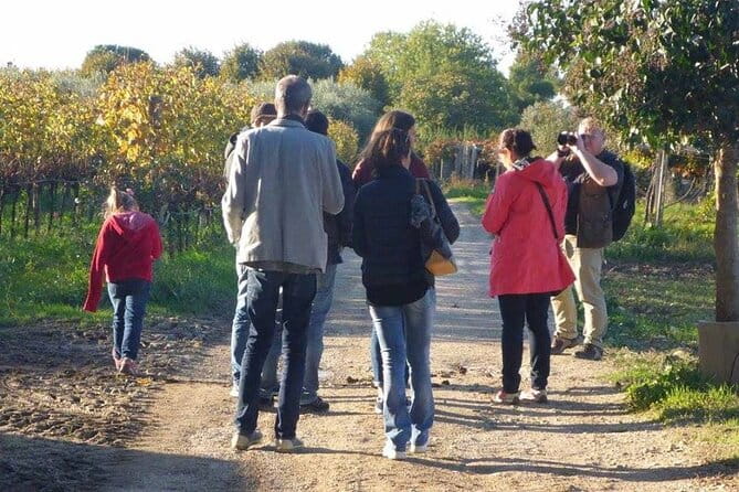 Wine Tasting and Guided Visit to the Vineyard and Cellar in S. Maria Imbaro - Who Would Love This Tour?