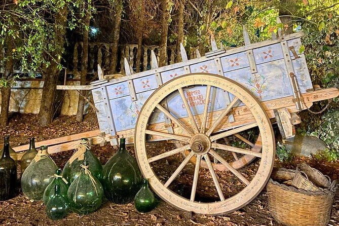 Wine Tasting and Guided Visit to the Vineyard and Cellar in S. Maria Imbaro - Final Thoughts