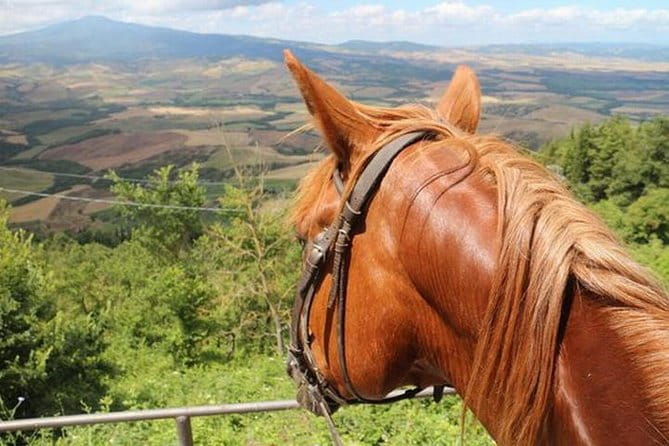 Wine tasting and horseback riding in Montepulciano, in Tuscany from Rome - Starting Your Day in Rome: From City to Hills