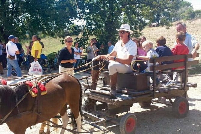 Wine tasting and horseback riding in Montepulciano, in Tuscany from Rome - Exploring the Vineyards and Wineries