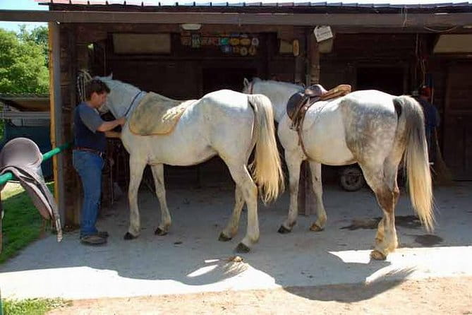 Wine tasting and horseback riding in Montepulciano, in Tuscany from Rome - Final Thoughts