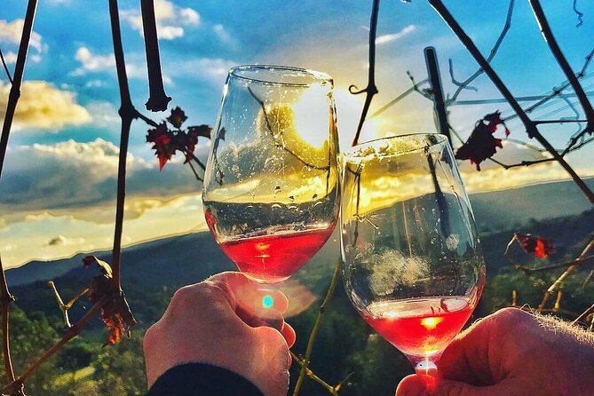 Wine Tasting and Winery Tour in Lemona Village, Paphos - Exploring Cypriot Wine Varieties