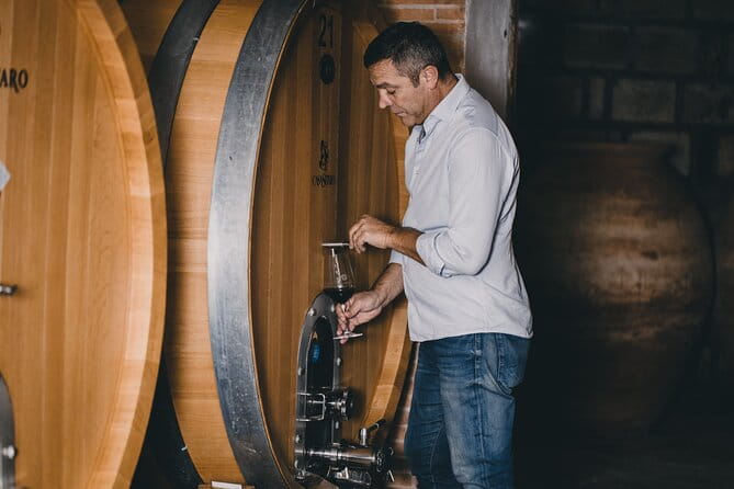 Wine Tasting and Winery Tour in Vesuvio National Park with Lunch - Key points / Takeaways