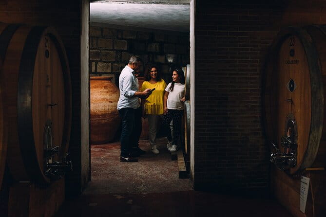 Wine Tasting and Winery Tour in Vesuvio National Park with Lunch - Exploring the Vesuvius Winery Experience in Detail