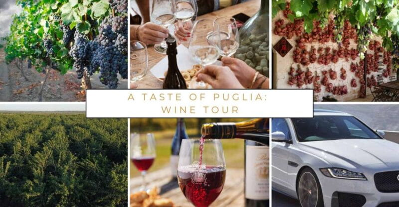 Wine tasting experience in the Apulian countryside! - The Touch of Personal Service and Comfort