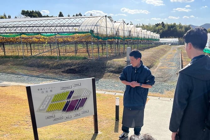 Wine Tasting Experience in Yamaga - Additional Tips for a Great Experience