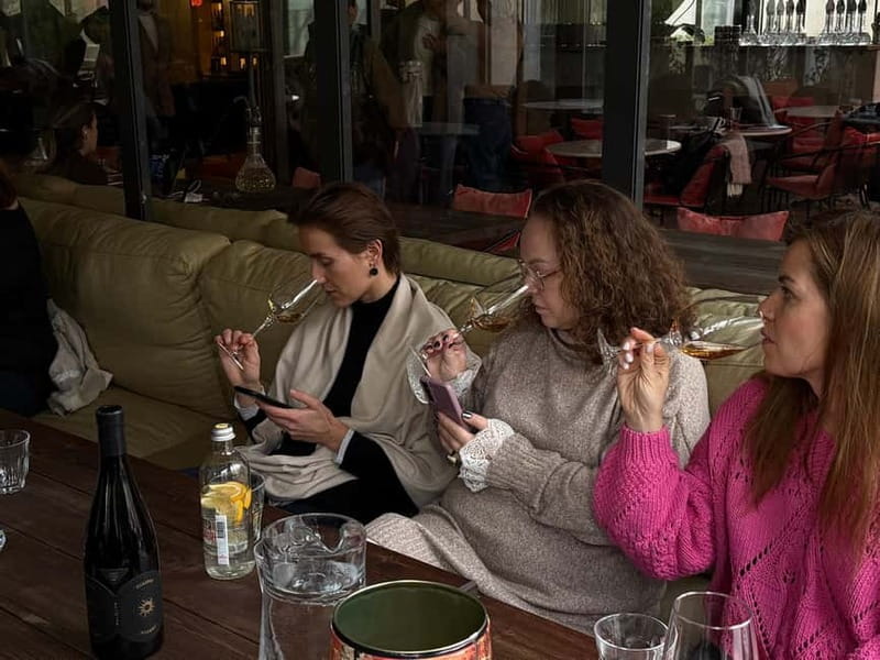 Wine Tasting feel the Difference of Qvevri or Classical Wine - Price and Logistics