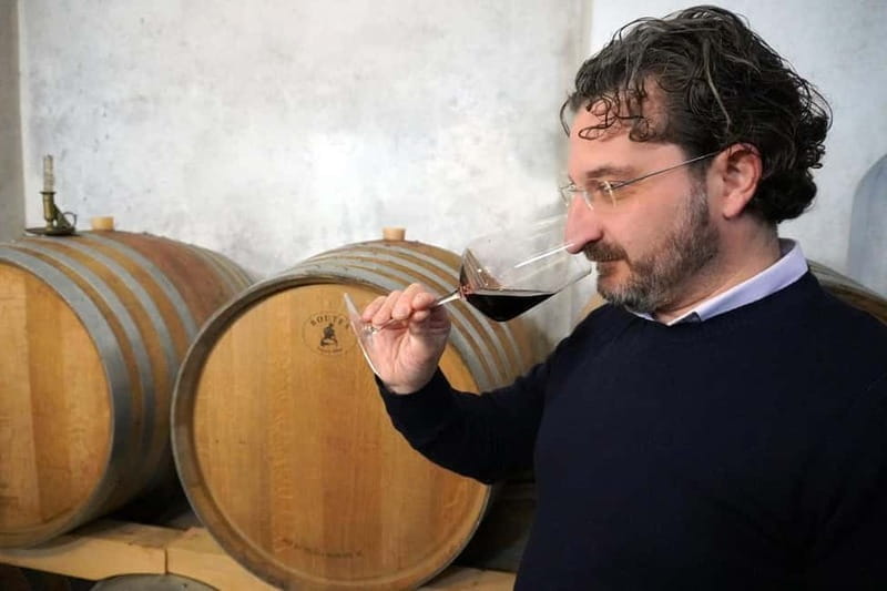 Wine tasting in Cilento with professional sommelier. - Practical Tips for Making the Most of Your Tour