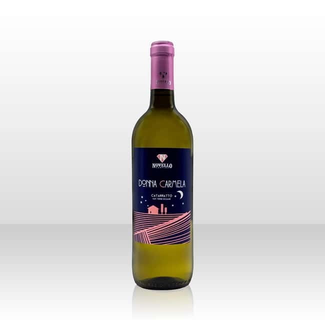 Wine tasting in the cellar - Key Points / Takeaways