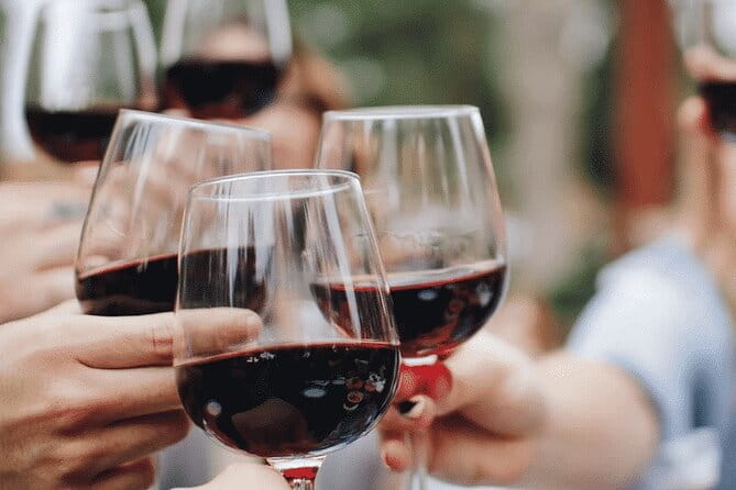 Wine tasting in the Collio wine area, guided tour of Cividale. - Who Should Consider This Tour?